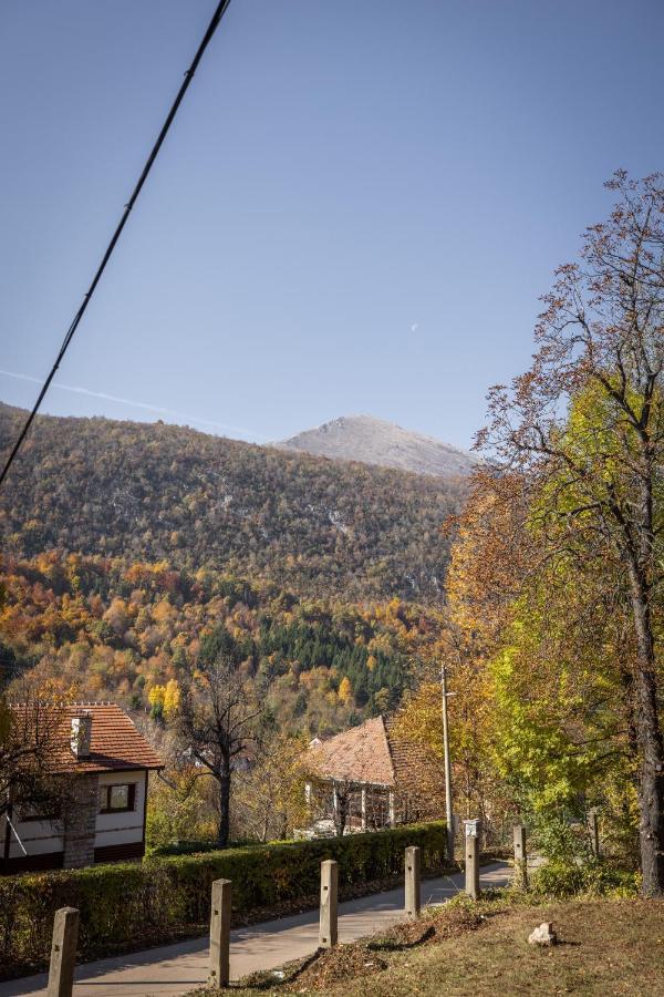 Vila Greta By Hotel Ramonda Rtanj Zewnętrze zdjęcie